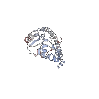 6647_5juu_T_v1-3
Saccharomyces cerevisiae 80S ribosome bound with elongation factor eEF2-GDP-sordarin and Taura Syndrome Virus IRES, Structure V (least rotated 40S subunit)