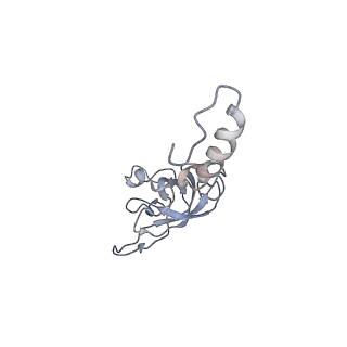 6647_5juu_UB_v1-3
Saccharomyces cerevisiae 80S ribosome bound with elongation factor eEF2-GDP-sordarin and Taura Syndrome Virus IRES, Structure V (least rotated 40S subunit)