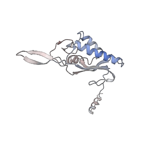 6647_5juu_U_v1-3
Saccharomyces cerevisiae 80S ribosome bound with elongation factor eEF2-GDP-sordarin and Taura Syndrome Virus IRES, Structure V (least rotated 40S subunit)