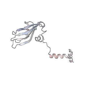 6647_5juu_VB_v1-3
Saccharomyces cerevisiae 80S ribosome bound with elongation factor eEF2-GDP-sordarin and Taura Syndrome Virus IRES, Structure V (least rotated 40S subunit)