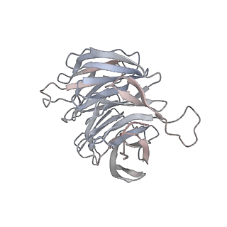 6647_5juu_WA_v1-3
Saccharomyces cerevisiae 80S ribosome bound with elongation factor eEF2-GDP-sordarin and Taura Syndrome Virus IRES, Structure V (least rotated 40S subunit)