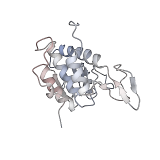 6647_5juu_XA_v1-3
Saccharomyces cerevisiae 80S ribosome bound with elongation factor eEF2-GDP-sordarin and Taura Syndrome Virus IRES, Structure V (least rotated 40S subunit)