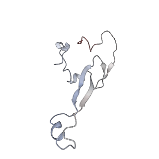 6647_5juu_XB_v1-3
Saccharomyces cerevisiae 80S ribosome bound with elongation factor eEF2-GDP-sordarin and Taura Syndrome Virus IRES, Structure V (least rotated 40S subunit)