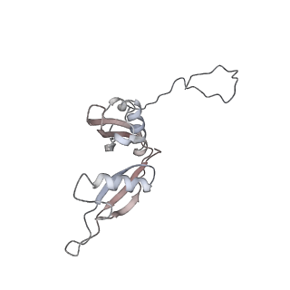 6647_5juu_X_v1-3
Saccharomyces cerevisiae 80S ribosome bound with elongation factor eEF2-GDP-sordarin and Taura Syndrome Virus IRES, Structure V (least rotated 40S subunit)