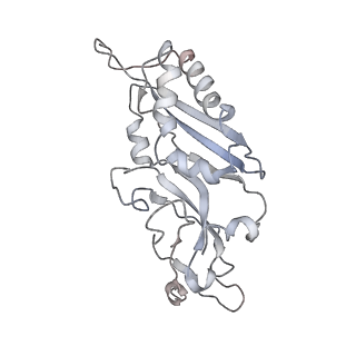 6647_5juu_YA_v1-3
Saccharomyces cerevisiae 80S ribosome bound with elongation factor eEF2-GDP-sordarin and Taura Syndrome Virus IRES, Structure V (least rotated 40S subunit)