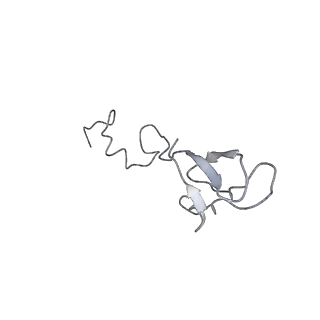 6647_5juu_YB_v1-3
Saccharomyces cerevisiae 80S ribosome bound with elongation factor eEF2-GDP-sordarin and Taura Syndrome Virus IRES, Structure V (least rotated 40S subunit)