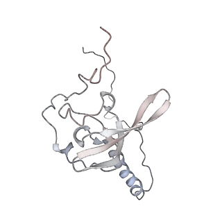 6647_5juu_Y_v1-3
Saccharomyces cerevisiae 80S ribosome bound with elongation factor eEF2-GDP-sordarin and Taura Syndrome Virus IRES, Structure V (least rotated 40S subunit)