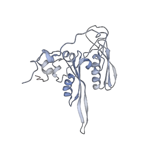 6647_5juu_ZA_v1-3
Saccharomyces cerevisiae 80S ribosome bound with elongation factor eEF2-GDP-sordarin and Taura Syndrome Virus IRES, Structure V (least rotated 40S subunit)