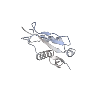 6647_5juu_Z_v1-3
Saccharomyces cerevisiae 80S ribosome bound with elongation factor eEF2-GDP-sordarin and Taura Syndrome Virus IRES, Structure V (least rotated 40S subunit)