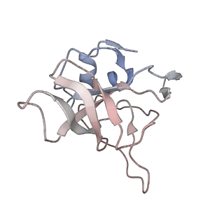 6648_5juo_AA_v1-3
Saccharomyces cerevisiae 80S ribosome bound with elongation factor eEF2-GDP-sordarin and Taura Syndrome Virus IRES, Structure I (fully rotated 40S subunit)