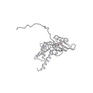 6648_5juo_AB_v1-3
Saccharomyces cerevisiae 80S ribosome bound with elongation factor eEF2-GDP-sordarin and Taura Syndrome Virus IRES, Structure I (fully rotated 40S subunit)