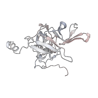 6648_5juo_BB_v1-3
Saccharomyces cerevisiae 80S ribosome bound with elongation factor eEF2-GDP-sordarin and Taura Syndrome Virus IRES, Structure I (fully rotated 40S subunit)