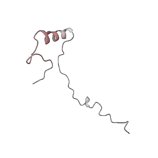 6648_5juo_BC_v1-3
Saccharomyces cerevisiae 80S ribosome bound with elongation factor eEF2-GDP-sordarin and Taura Syndrome Virus IRES, Structure I (fully rotated 40S subunit)