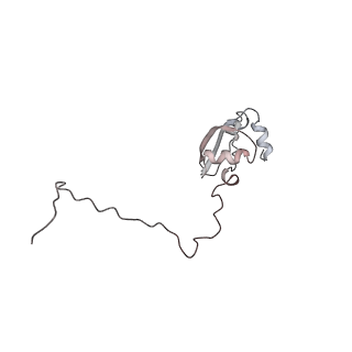 6648_5juo_CA_v1-3
Saccharomyces cerevisiae 80S ribosome bound with elongation factor eEF2-GDP-sordarin and Taura Syndrome Virus IRES, Structure I (fully rotated 40S subunit)