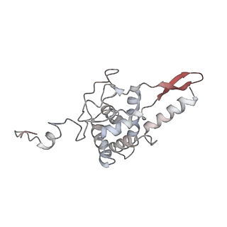 6648_5juo_CB_v1-3
Saccharomyces cerevisiae 80S ribosome bound with elongation factor eEF2-GDP-sordarin and Taura Syndrome Virus IRES, Structure I (fully rotated 40S subunit)