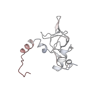 6648_5juo_DA_v1-3
Saccharomyces cerevisiae 80S ribosome bound with elongation factor eEF2-GDP-sordarin and Taura Syndrome Virus IRES, Structure I (fully rotated 40S subunit)