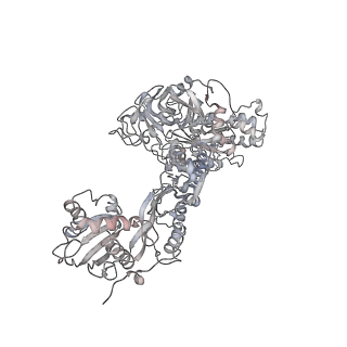6648_5juo_DC_v1-3
Saccharomyces cerevisiae 80S ribosome bound with elongation factor eEF2-GDP-sordarin and Taura Syndrome Virus IRES, Structure I (fully rotated 40S subunit)