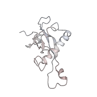 6648_5juo_EA_v1-3
Saccharomyces cerevisiae 80S ribosome bound with elongation factor eEF2-GDP-sordarin and Taura Syndrome Virus IRES, Structure I (fully rotated 40S subunit)