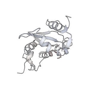6648_5juo_EB_v1-3
Saccharomyces cerevisiae 80S ribosome bound with elongation factor eEF2-GDP-sordarin and Taura Syndrome Virus IRES, Structure I (fully rotated 40S subunit)
