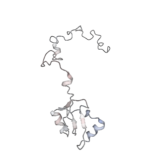 6648_5juo_FA_v1-3
Saccharomyces cerevisiae 80S ribosome bound with elongation factor eEF2-GDP-sordarin and Taura Syndrome Virus IRES, Structure I (fully rotated 40S subunit)