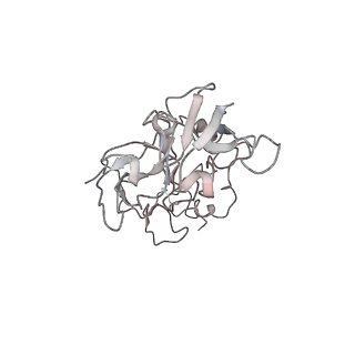 6648_5juo_F_v1-3
Saccharomyces cerevisiae 80S ribosome bound with elongation factor eEF2-GDP-sordarin and Taura Syndrome Virus IRES, Structure I (fully rotated 40S subunit)