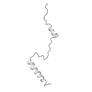 6648_5juo_GA_v1-3
Saccharomyces cerevisiae 80S ribosome bound with elongation factor eEF2-GDP-sordarin and Taura Syndrome Virus IRES, Structure I (fully rotated 40S subunit)