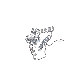 6648_5juo_GB_v1-3
Saccharomyces cerevisiae 80S ribosome bound with elongation factor eEF2-GDP-sordarin and Taura Syndrome Virus IRES, Structure I (fully rotated 40S subunit)