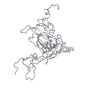 6648_5juo_G_v1-3
Saccharomyces cerevisiae 80S ribosome bound with elongation factor eEF2-GDP-sordarin and Taura Syndrome Virus IRES, Structure I (fully rotated 40S subunit)