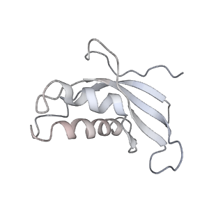 6648_5juo_IA_v1-3
Saccharomyces cerevisiae 80S ribosome bound with elongation factor eEF2-GDP-sordarin and Taura Syndrome Virus IRES, Structure I (fully rotated 40S subunit)
