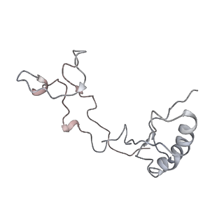6648_5juo_JA_v1-3
Saccharomyces cerevisiae 80S ribosome bound with elongation factor eEF2-GDP-sordarin and Taura Syndrome Virus IRES, Structure I (fully rotated 40S subunit)