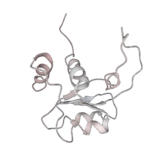 6648_5juo_JB_v1-3
Saccharomyces cerevisiae 80S ribosome bound with elongation factor eEF2-GDP-sordarin and Taura Syndrome Virus IRES, Structure I (fully rotated 40S subunit)