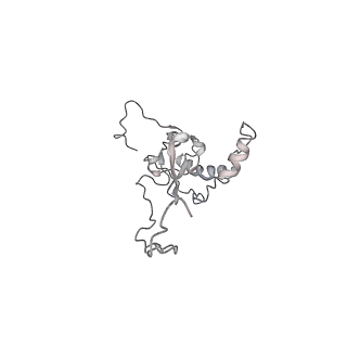 6648_5juo_J_v1-3
Saccharomyces cerevisiae 80S ribosome bound with elongation factor eEF2-GDP-sordarin and Taura Syndrome Virus IRES, Structure I (fully rotated 40S subunit)