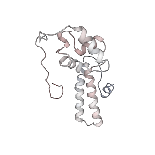 6648_5juo_KB_v1-3
Saccharomyces cerevisiae 80S ribosome bound with elongation factor eEF2-GDP-sordarin and Taura Syndrome Virus IRES, Structure I (fully rotated 40S subunit)