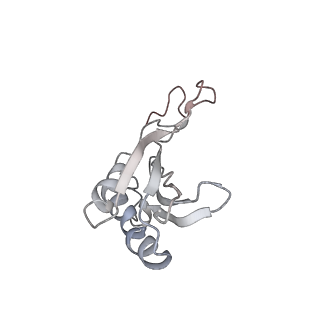 6648_5juo_LB_v1-3
Saccharomyces cerevisiae 80S ribosome bound with elongation factor eEF2-GDP-sordarin and Taura Syndrome Virus IRES, Structure I (fully rotated 40S subunit)