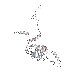 6648_5juo_L_v1-3
Saccharomyces cerevisiae 80S ribosome bound with elongation factor eEF2-GDP-sordarin and Taura Syndrome Virus IRES, Structure I (fully rotated 40S subunit)
