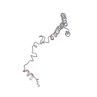 6648_5juo_MA_v1-3
Saccharomyces cerevisiae 80S ribosome bound with elongation factor eEF2-GDP-sordarin and Taura Syndrome Virus IRES, Structure I (fully rotated 40S subunit)