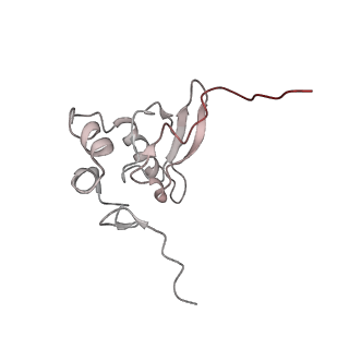 6648_5juo_MB_v1-3
Saccharomyces cerevisiae 80S ribosome bound with elongation factor eEF2-GDP-sordarin and Taura Syndrome Virus IRES, Structure I (fully rotated 40S subunit)