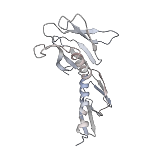 6648_5juo_M_v1-3
Saccharomyces cerevisiae 80S ribosome bound with elongation factor eEF2-GDP-sordarin and Taura Syndrome Virus IRES, Structure I (fully rotated 40S subunit)