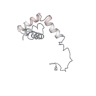 6648_5juo_NA_v1-3
Saccharomyces cerevisiae 80S ribosome bound with elongation factor eEF2-GDP-sordarin and Taura Syndrome Virus IRES, Structure I (fully rotated 40S subunit)