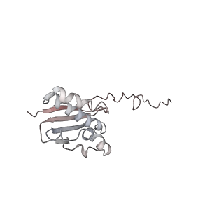 6648_5juo_NB_v1-3
Saccharomyces cerevisiae 80S ribosome bound with elongation factor eEF2-GDP-sordarin and Taura Syndrome Virus IRES, Structure I (fully rotated 40S subunit)