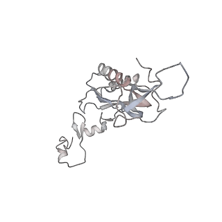 6648_5juo_N_v1-3
Saccharomyces cerevisiae 80S ribosome bound with elongation factor eEF2-GDP-sordarin and Taura Syndrome Virus IRES, Structure I (fully rotated 40S subunit)