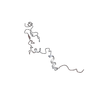 6648_5juo_OA_v1-3
Saccharomyces cerevisiae 80S ribosome bound with elongation factor eEF2-GDP-sordarin and Taura Syndrome Virus IRES, Structure I (fully rotated 40S subunit)