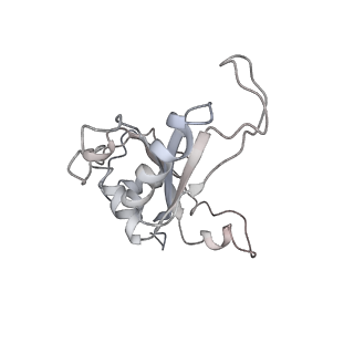 6648_5juo_O_v1-3
Saccharomyces cerevisiae 80S ribosome bound with elongation factor eEF2-GDP-sordarin and Taura Syndrome Virus IRES, Structure I (fully rotated 40S subunit)