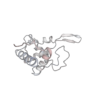 6648_5juo_QB_v1-3
Saccharomyces cerevisiae 80S ribosome bound with elongation factor eEF2-GDP-sordarin and Taura Syndrome Virus IRES, Structure I (fully rotated 40S subunit)