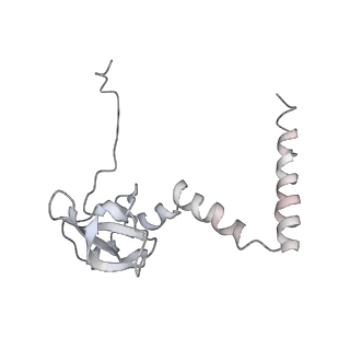 6648_5juo_R_v1-3
Saccharomyces cerevisiae 80S ribosome bound with elongation factor eEF2-GDP-sordarin and Taura Syndrome Virus IRES, Structure I (fully rotated 40S subunit)