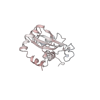 6648_5juo_S_v1-3
Saccharomyces cerevisiae 80S ribosome bound with elongation factor eEF2-GDP-sordarin and Taura Syndrome Virus IRES, Structure I (fully rotated 40S subunit)
