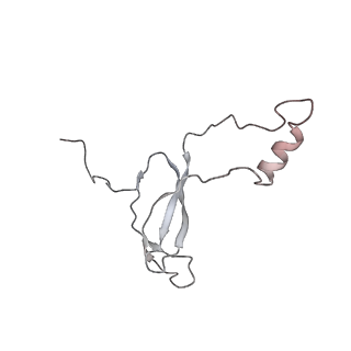 6648_5juo_TA_v1-3
Saccharomyces cerevisiae 80S ribosome bound with elongation factor eEF2-GDP-sordarin and Taura Syndrome Virus IRES, Structure I (fully rotated 40S subunit)