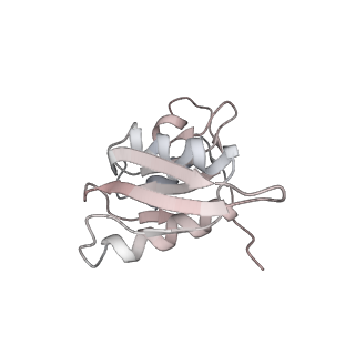 6648_5juo_TB_v1-3
Saccharomyces cerevisiae 80S ribosome bound with elongation factor eEF2-GDP-sordarin and Taura Syndrome Virus IRES, Structure I (fully rotated 40S subunit)