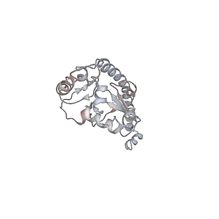 6648_5juo_T_v1-3
Saccharomyces cerevisiae 80S ribosome bound with elongation factor eEF2-GDP-sordarin and Taura Syndrome Virus IRES, Structure I (fully rotated 40S subunit)