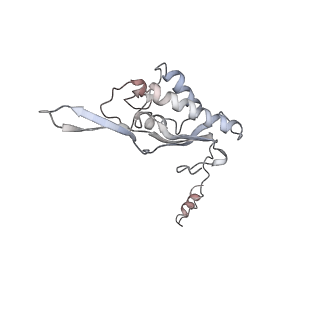 6648_5juo_U_v1-3
Saccharomyces cerevisiae 80S ribosome bound with elongation factor eEF2-GDP-sordarin and Taura Syndrome Virus IRES, Structure I (fully rotated 40S subunit)